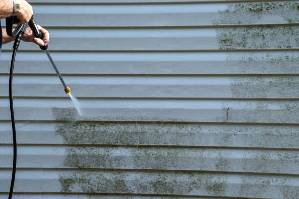 Best Brick Veneer Siding  in Ithaca, MI