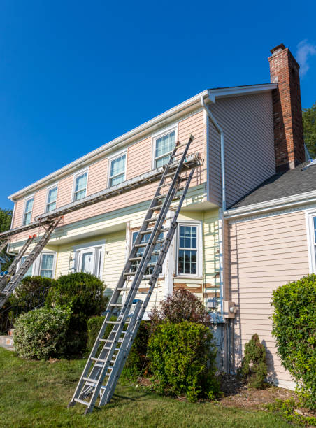 Best Aluminum Siding Installation  in Ithaca, MI